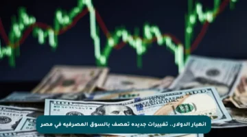 انهيار الدولار.. تغييرات جديدة تعصف بالسوق المصرفية في مصر